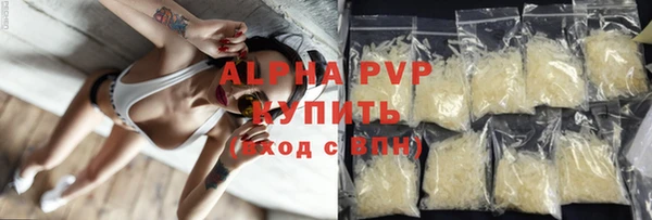 гидра Беслан