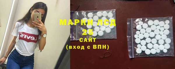 PSILOCYBIN Новозыбков