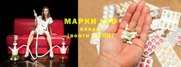 PSILOCYBIN Новозыбков