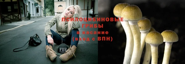 PSILOCYBIN Новозыбков