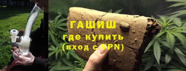 PSILOCYBIN Каменка