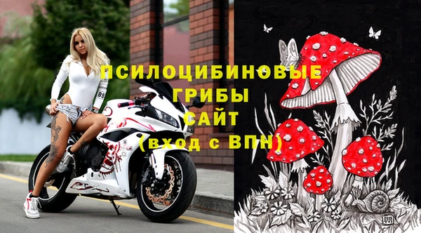 марки nbome Белая Холуница